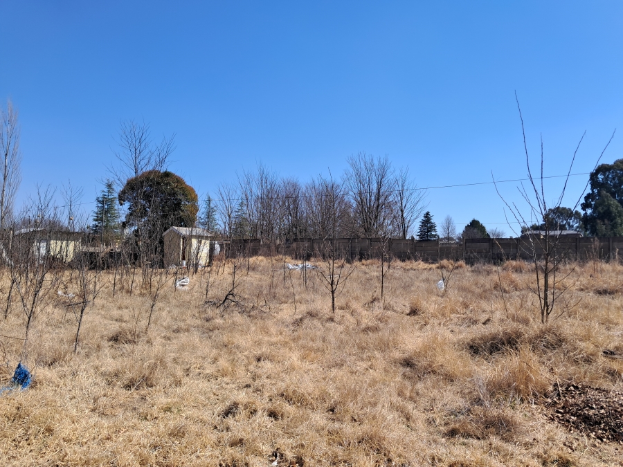 3 Bedroom Property for Sale in Memel Free State